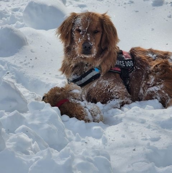 Meet your Posher, Steve - Picture 1 of 1
